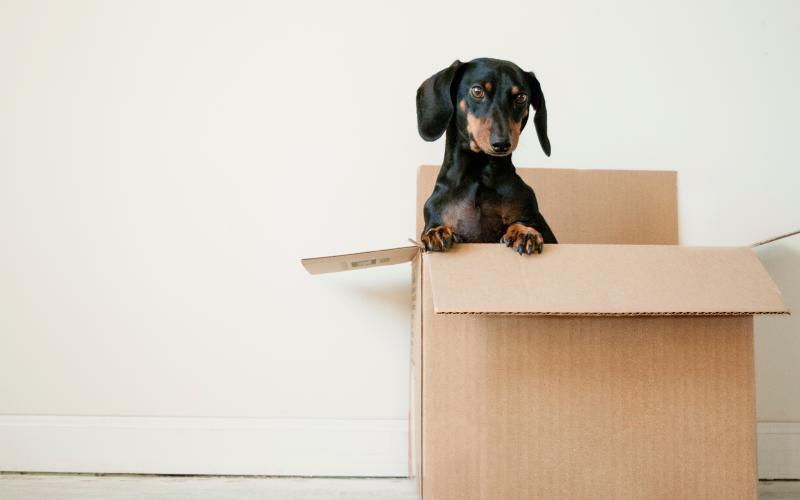 
<span>How to Plan Your Relocation</span>

